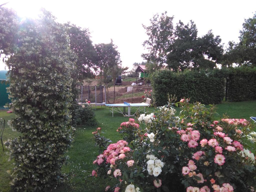Tenuta Di Argiano A Montepulciano Кьянчано-Терме Экстерьер фото